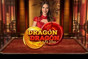 Dragon Dragon